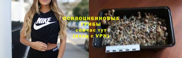 mix Кукмор