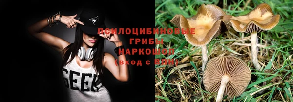 дживик Кулебаки