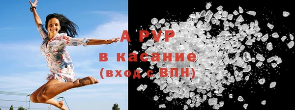 ПСИЛОЦИБИНОВЫЕ ГРИБЫ Ладушкин