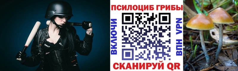 Галлюциногенные грибы GOLDEN TEACHER  Купить где  Ишим 